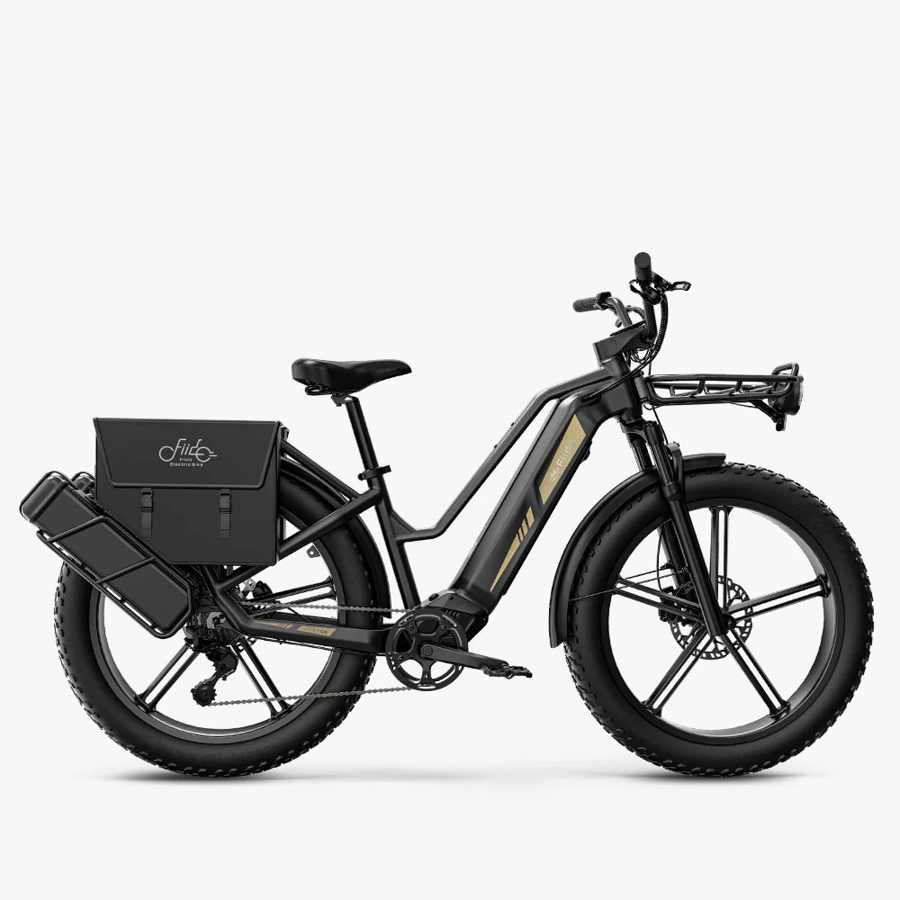 FIIDO TITAN - Bici Elettrica Cross Da Trasporto