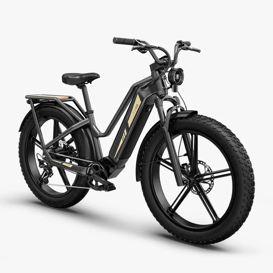 FIIDO TITAN - Bici Elettrica Cross Da Trasporto