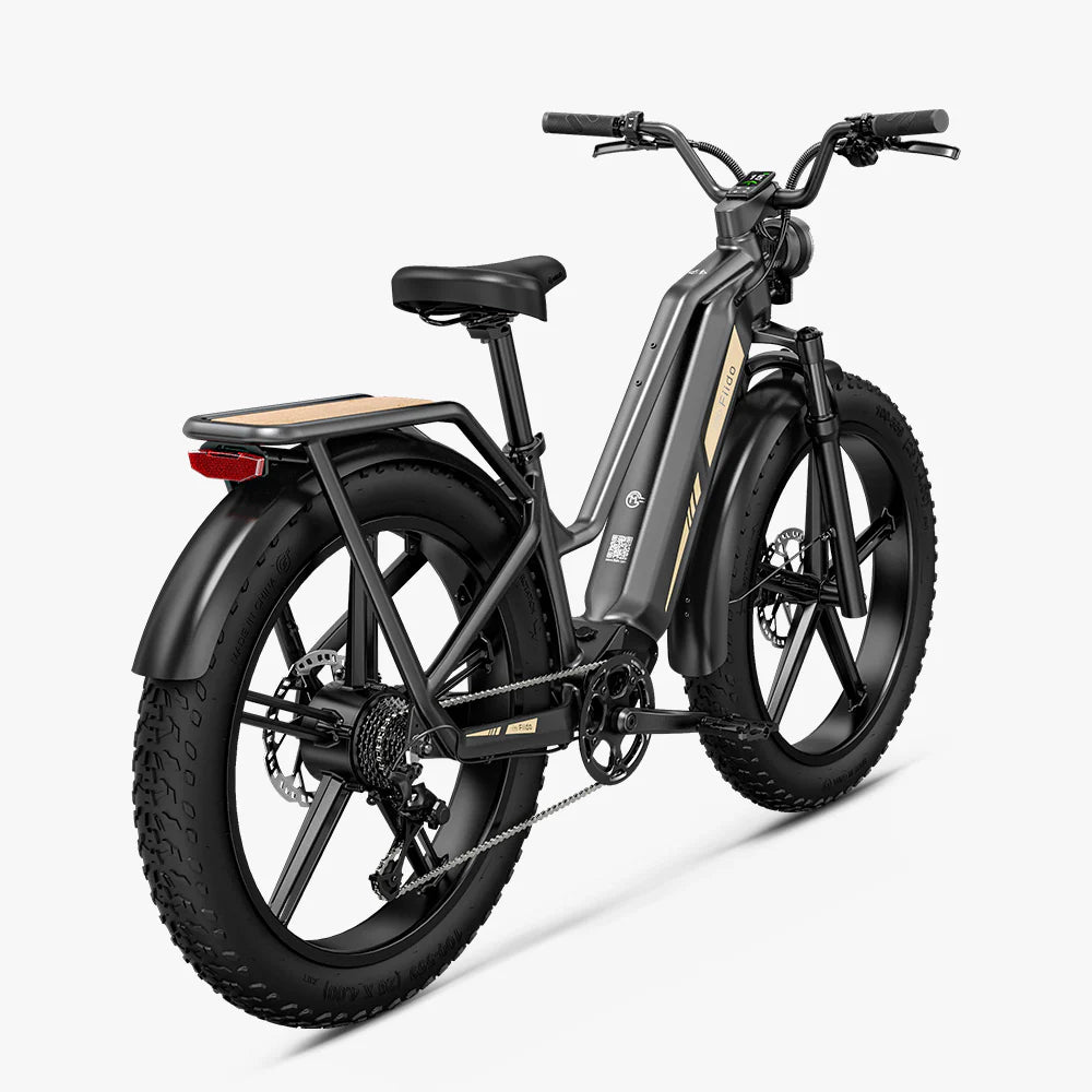 FIIDO TITAN - Bici Elettrica Cross Da Trasporto