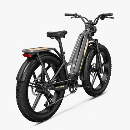 FIIDO TITAN - Bici Elettrica Cross Da Trasporto