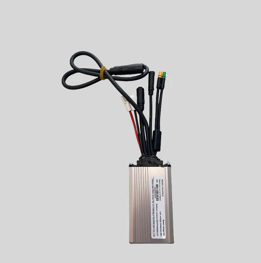 Centralina Engwe Vari modelli