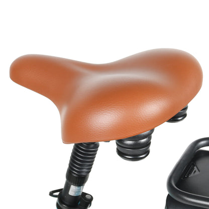 SAMEBIKE RSA-07 Holland