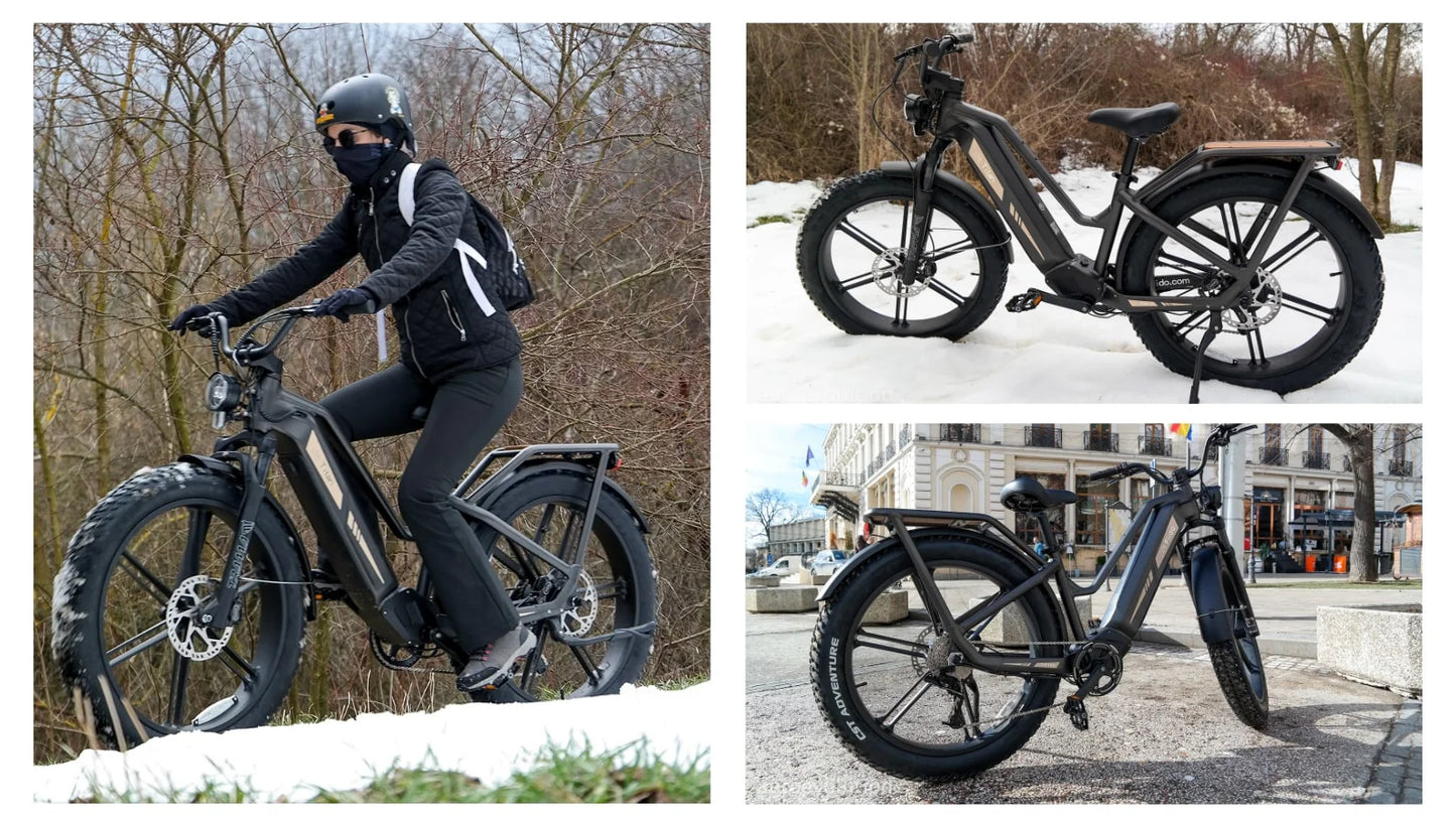 FIIDO TITAN - Bici Elettrica Cross Da Trasporto