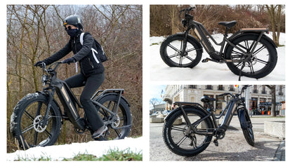 FIIDO TITAN - Bici Elettrica Cross Da Trasporto