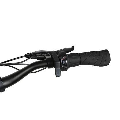 SAMEBIKE RSA-01 PRO