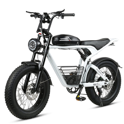 SAMEBIKE  M20