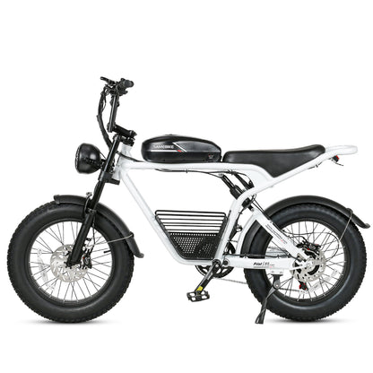 SAMEBIKE  M20